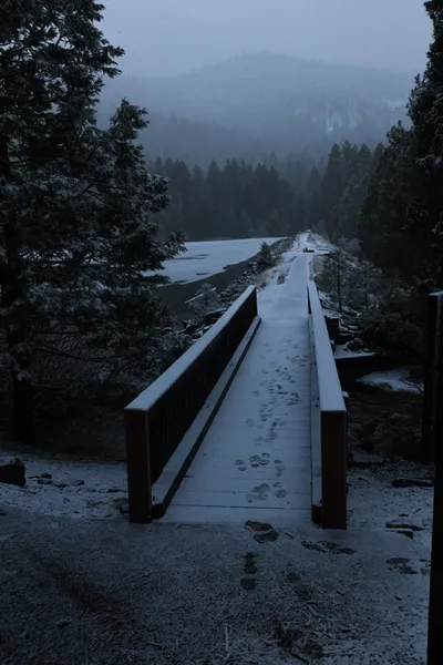 DSC_5841 (Large).JPG